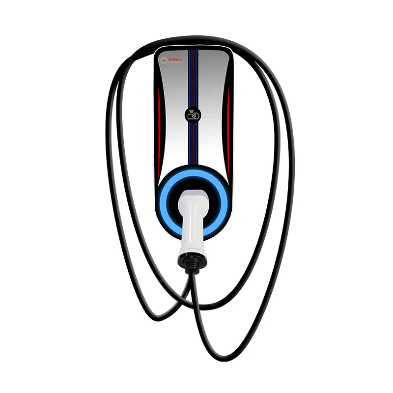 24V 100A išorinis įkroviklis, skirtas mažo greičio transporto priemonėms